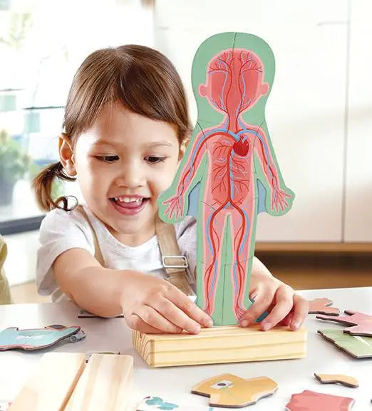 Hape Magnetic Human Body Wooden Puzzle Hape-Toy-Market