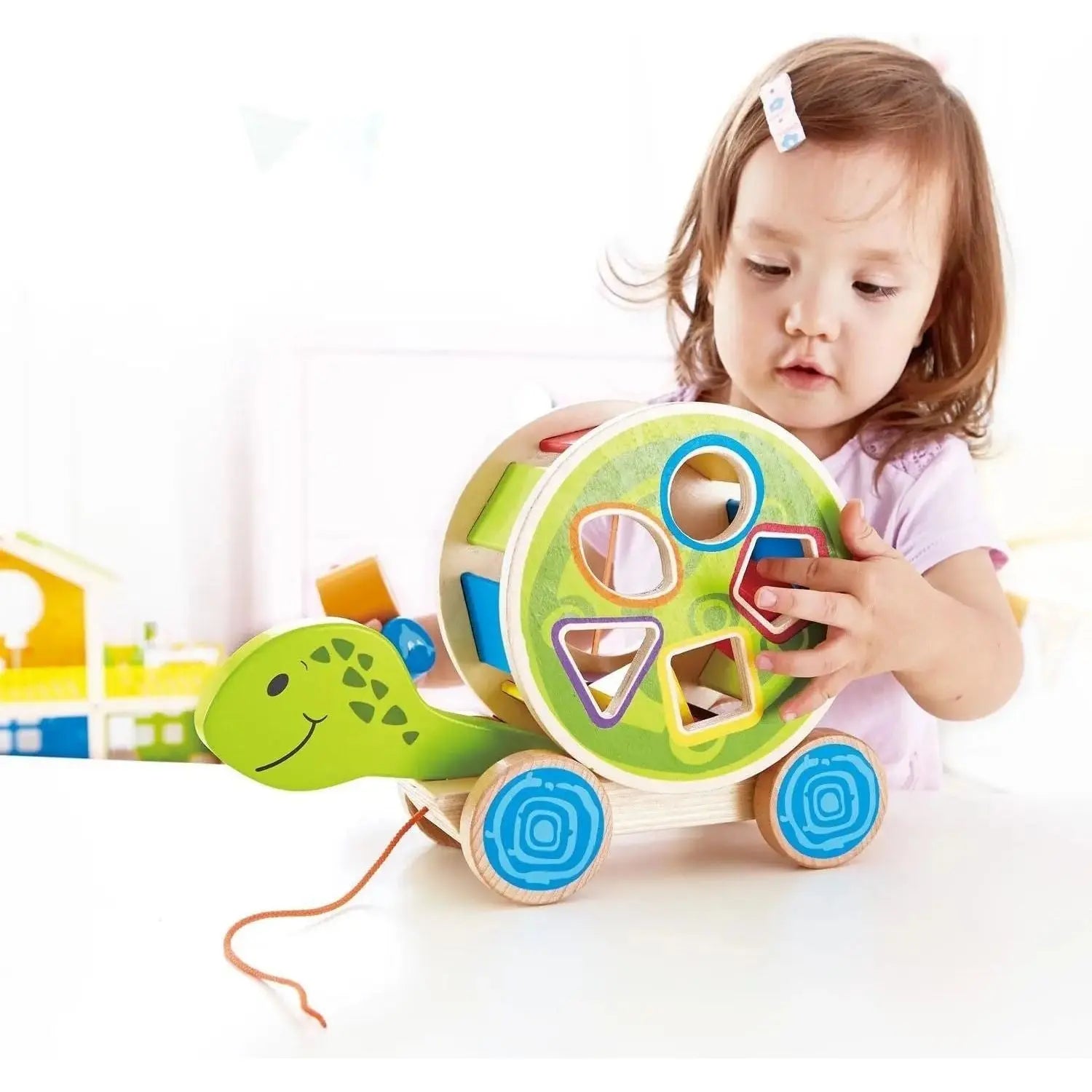 Hape Walk-A-long Turtle