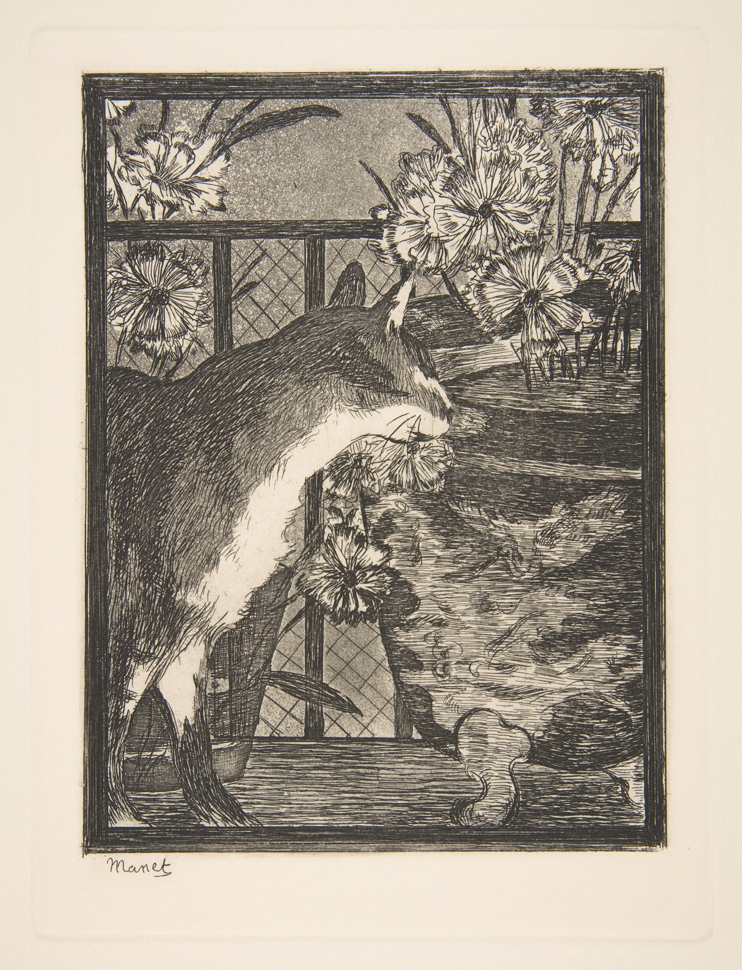 Before image