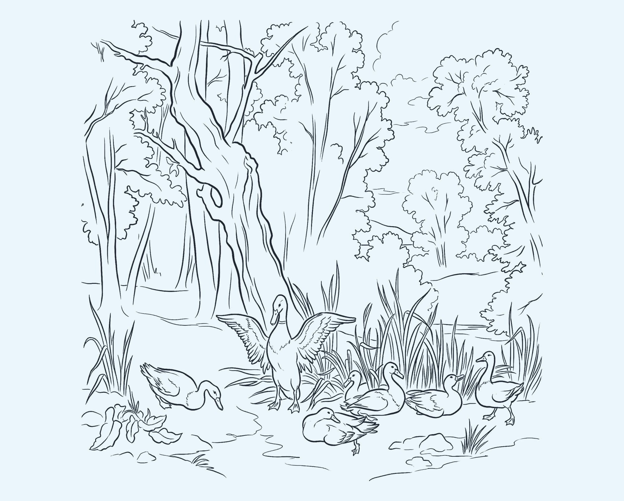 After image