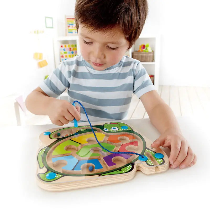 Colorback Sea Turtle Hape