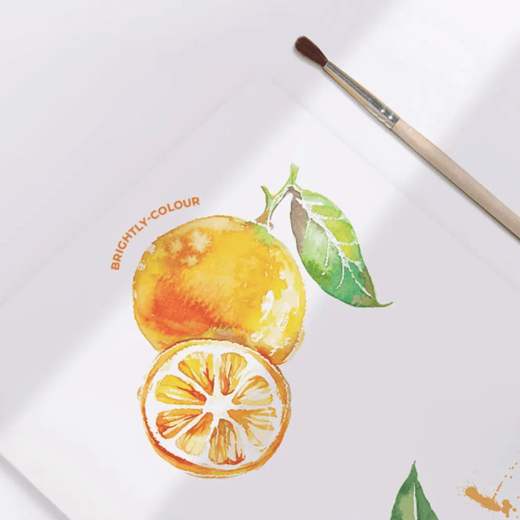 Flower Monaco Water Color Set - 21 Colors FlowerMonaco