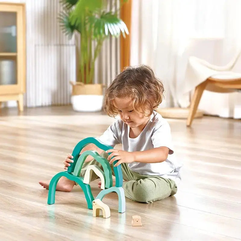 Hape Arctic Polar Bear Stacking Blocks