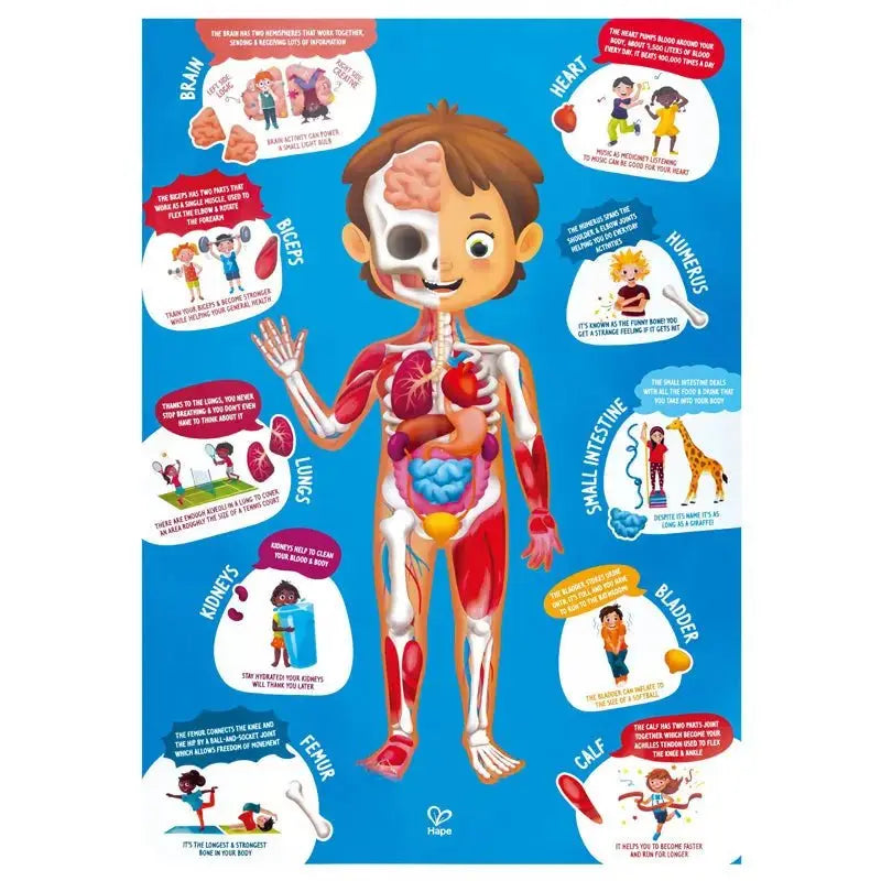 Learning the Human Body Puzzle for Kids – Black Wagon Kids