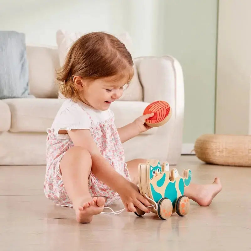 Hape Roll & Rattle Kitten