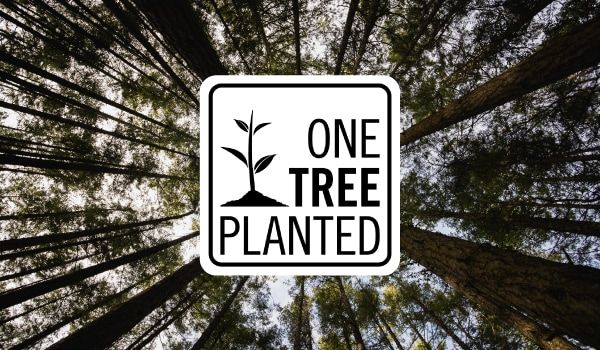 Teaming up with One Tree Planted