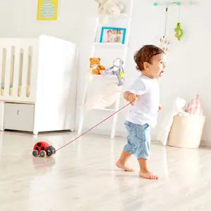 Ladybug Pull Along Hape
