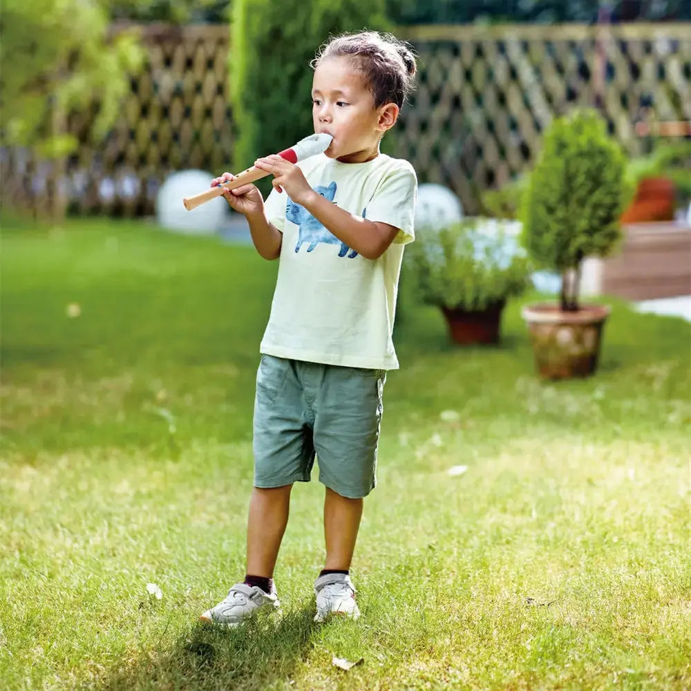 Mini Musician's Starter Recorder Hape-Toy-Market