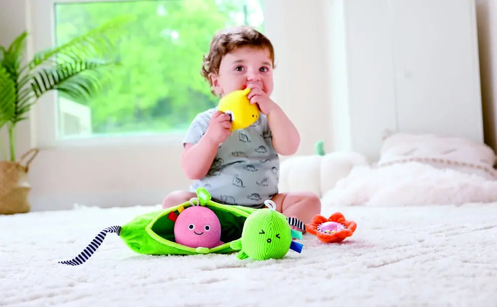 Pea Pod Pals Hape-Toy-Market
