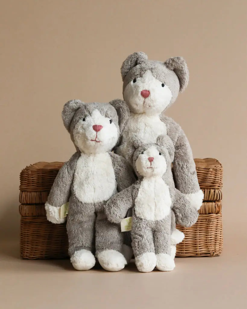 Senger Organic Cotton Stuffed Animal, Baby Cat, 8" Senger