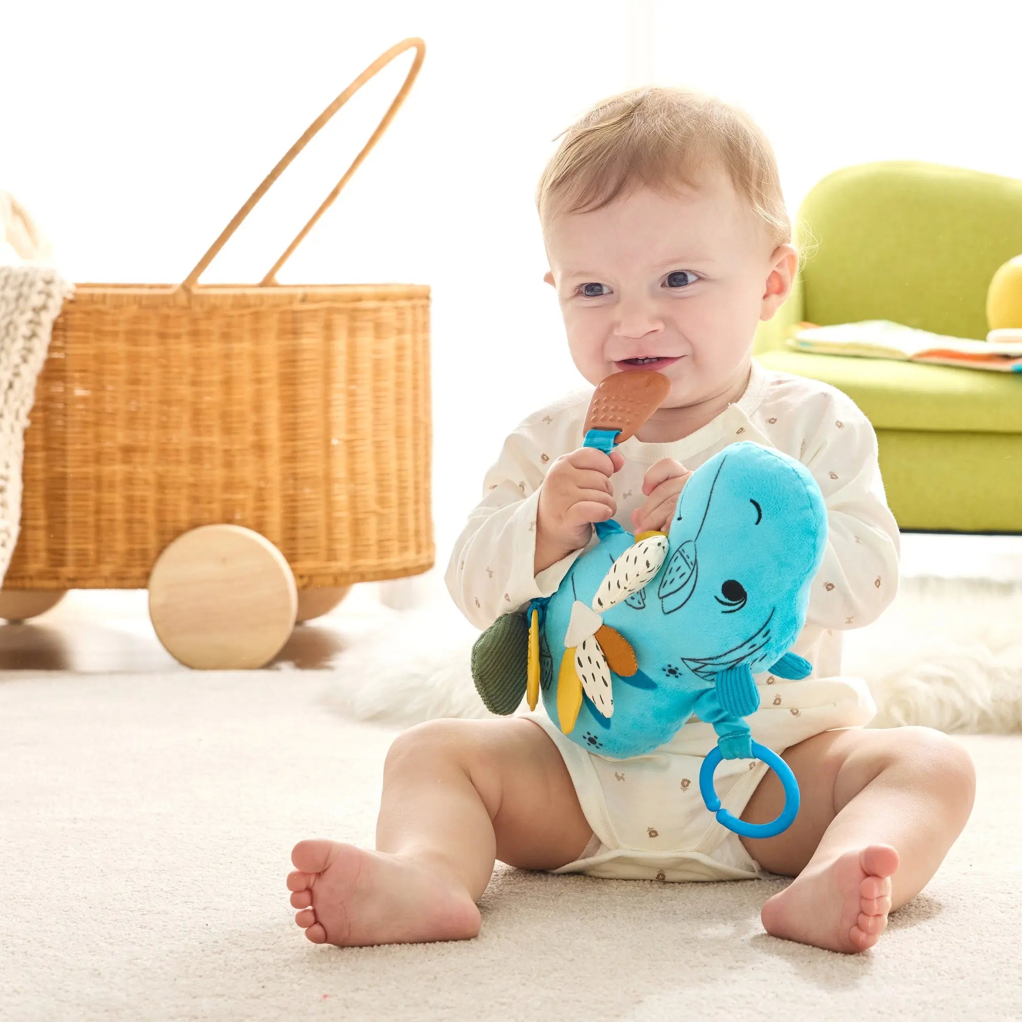 Sensory Stroller Toy
