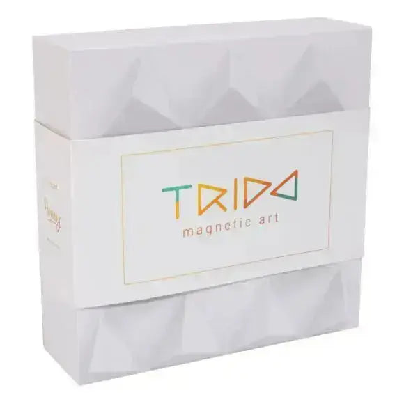 Trido Laguna Magnetic Art 3D Shapes Small 12-Piece Trido