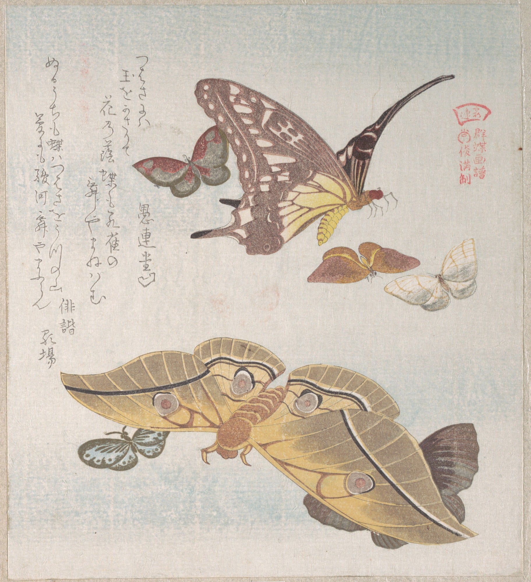 Before image