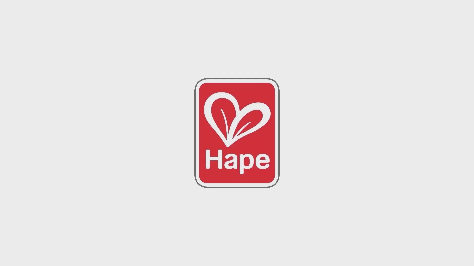 Hape Party Favor Pack