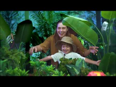 Hape Dinosaur Railway Adventure Set