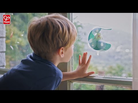Hape Window Bird Feeder